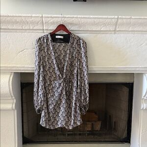 Zara V-Neck Long Sleeve Mini Dress